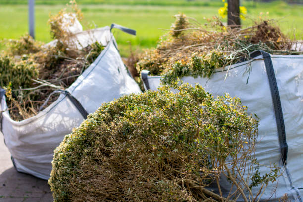 Best Attic Cleanout Services  in Lakeland North, WA